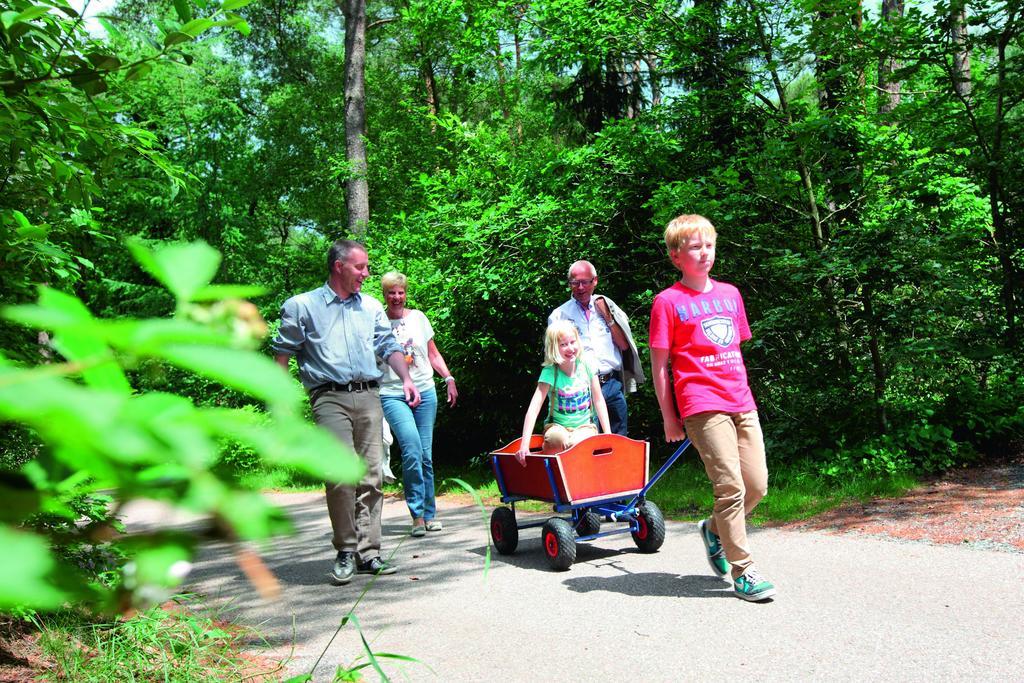 Hotel Natuurpark De Witte Bergen Rouveen Pokoj fotografie